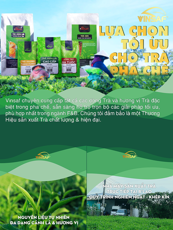 VINSAF - SỰ LỰA CHỌN TỐI ƯU CHO TRÀ PHA CHẾ
